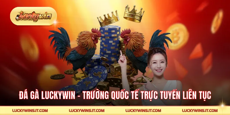 Đá Gà LUCKYWIN - Trường Quốc Tế Trực Tuyến Phát Sóng Liên Tục
